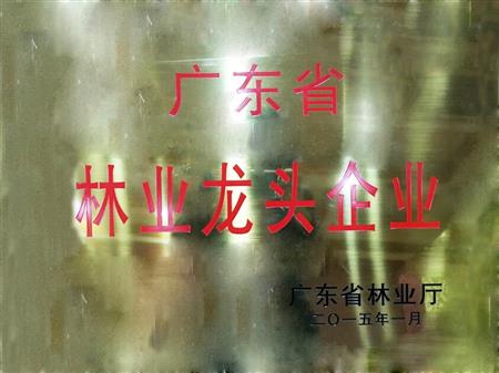    	         	2015年1月，紅古軒當(dāng)選為“廣東省林業(yè)龍頭企業(yè)”   